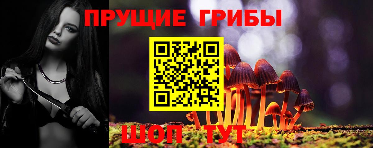 Казань  Галлюциногенные грибы Psilocybe  Вход с VPN  Галлюциногенные грибы Psilocybe 